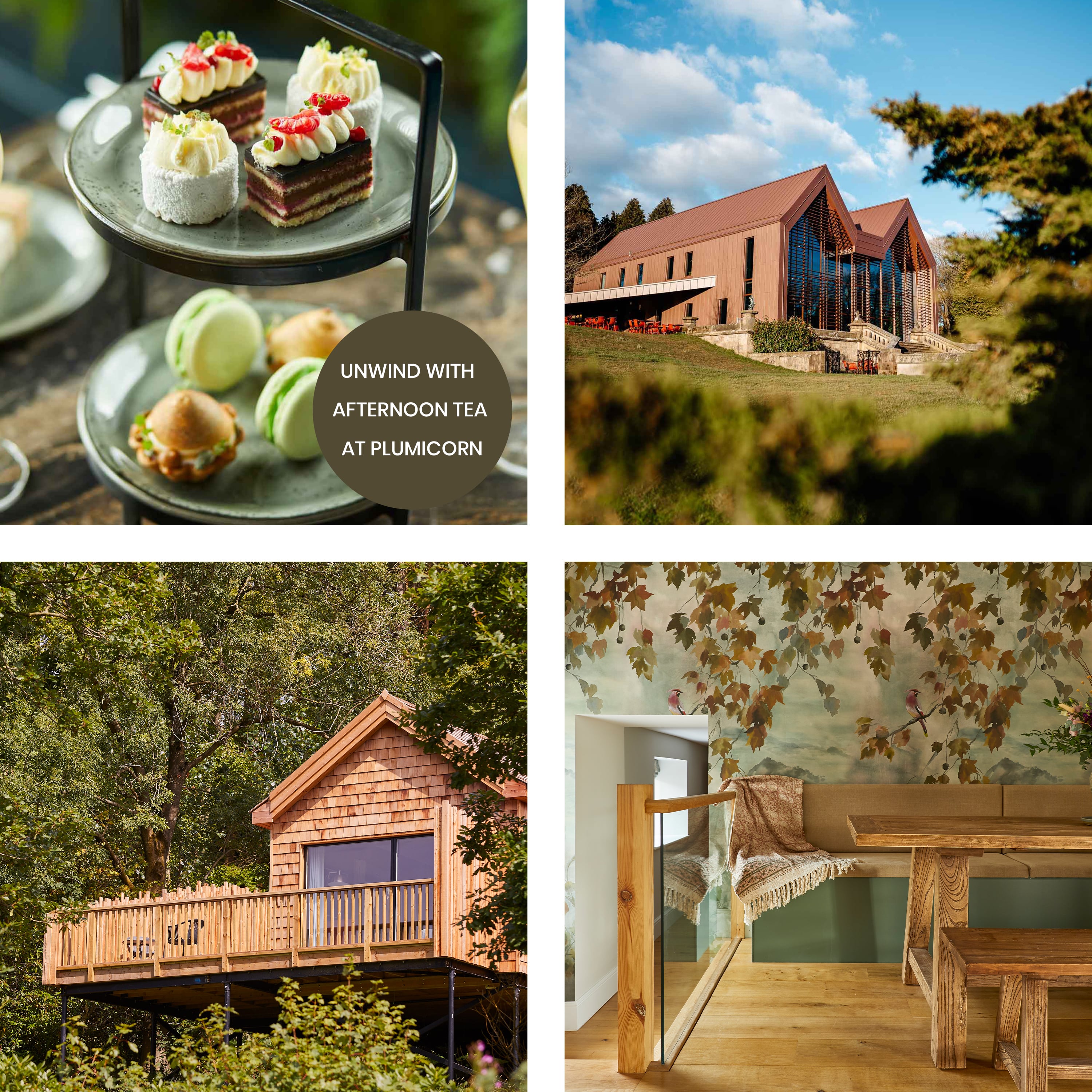 Unwind with afternoon tea at the Plumicorn