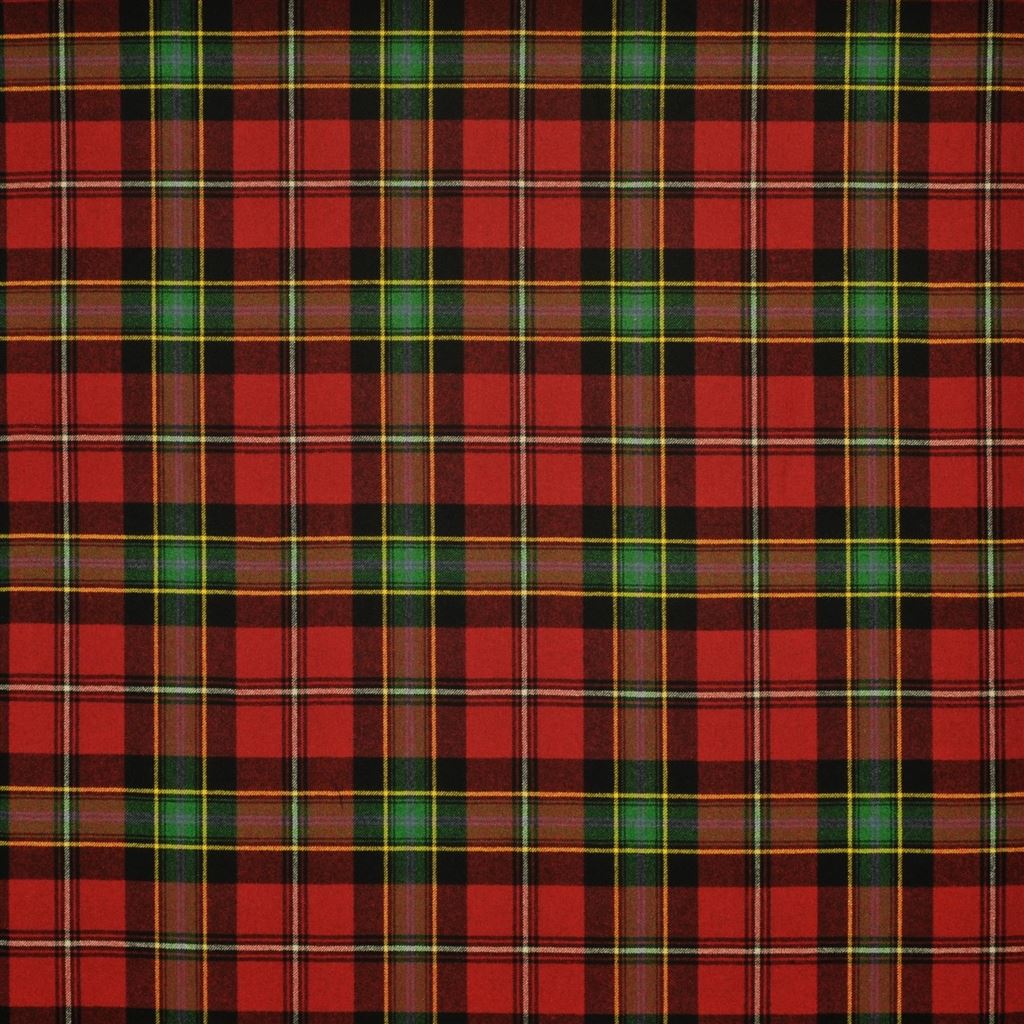 dunmore plaid - currant