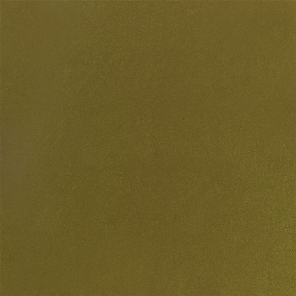 Calozzo Stretto - Olive