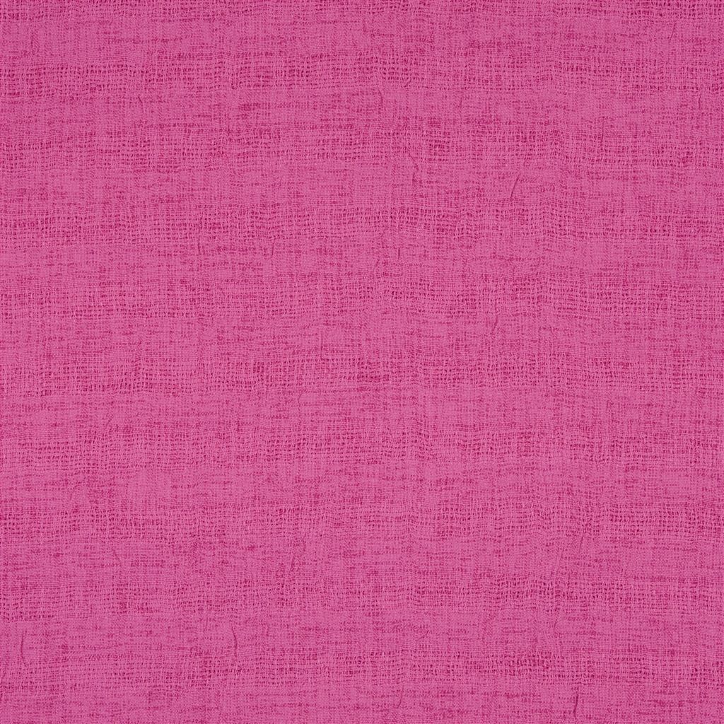 Caplina - Fuchsia Cutting