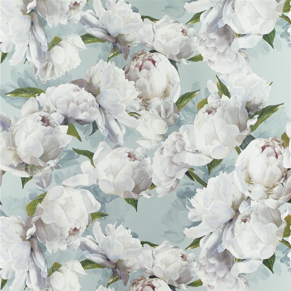 peonia zinc