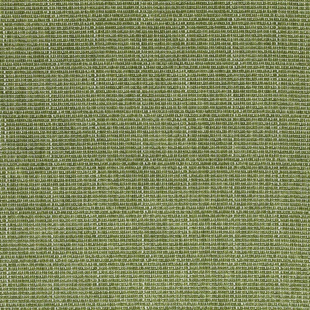 pompano outdoor - grass