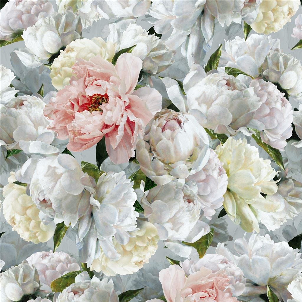 peonia grande zinc