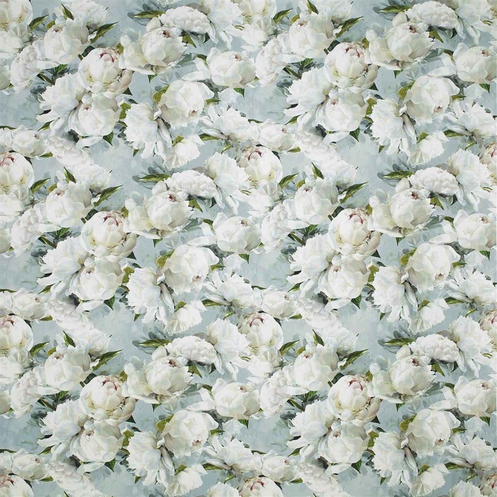 peonia lino - zinc