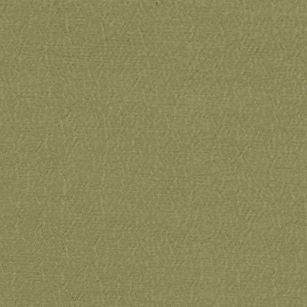 anshu - pistachio