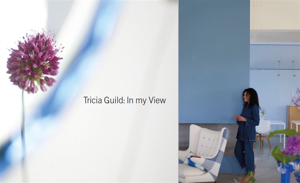 Tricia Guild: 'In my View' book