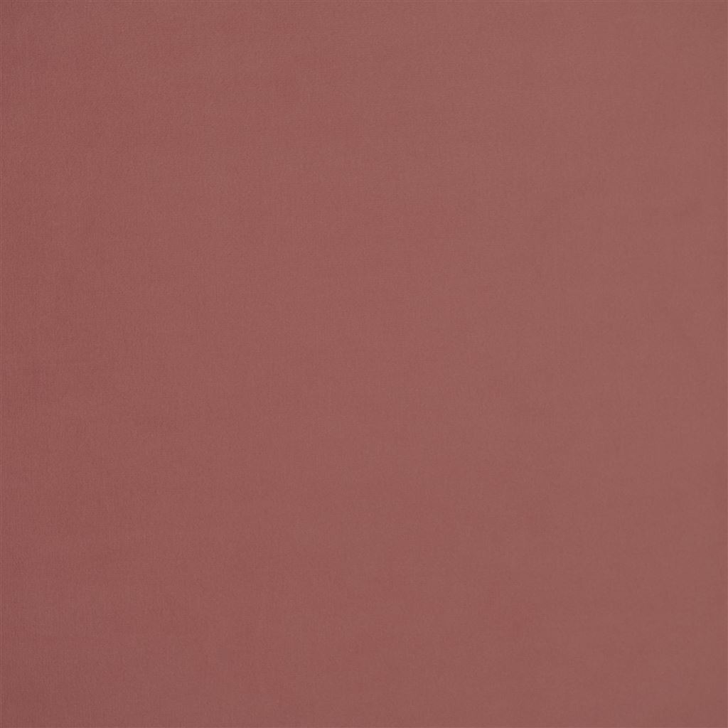 Velluto Stretto - Rose Cutting
