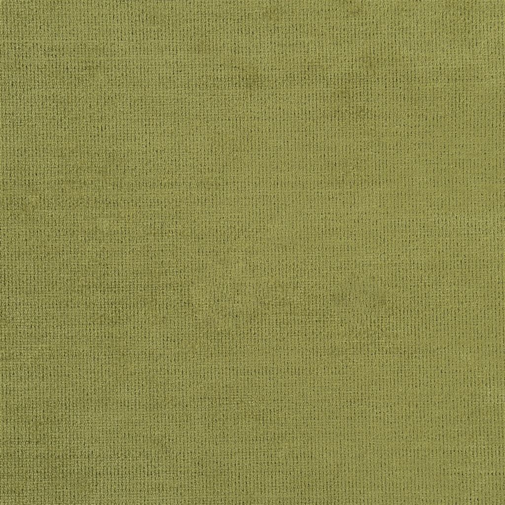 tarazona - pistachio