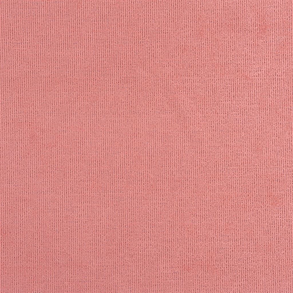 tarazona - coral