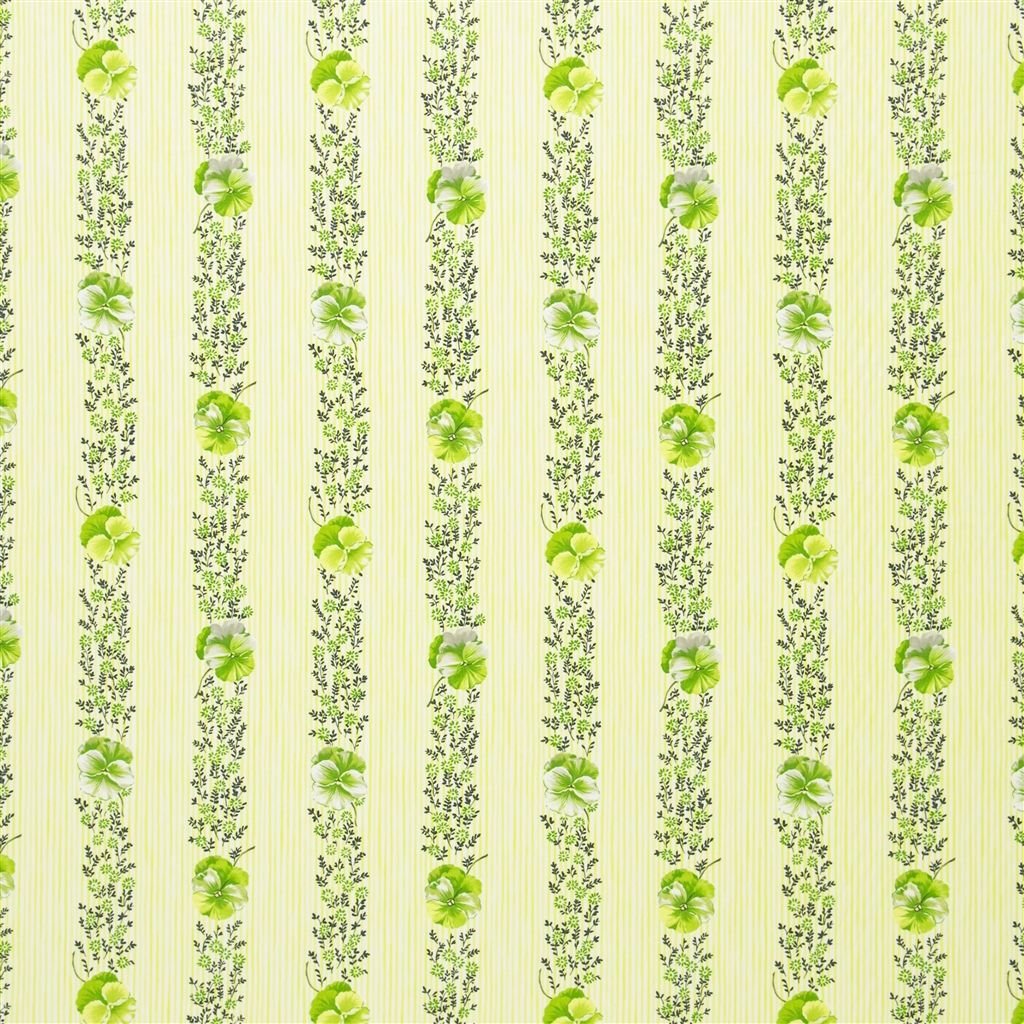 Pansy Stripe - Apple Cutting