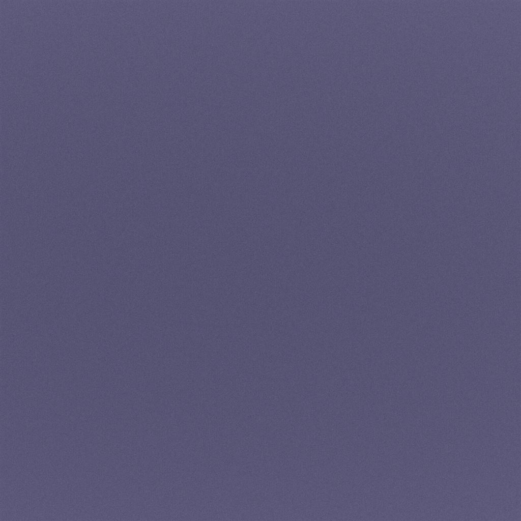 Tiber - Blueberry Cutting