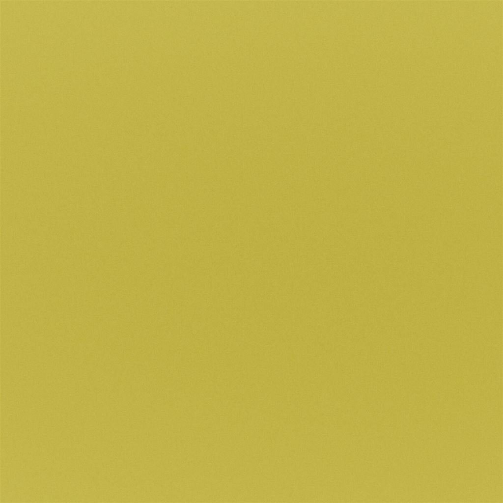 Tiber - Acacia Cutting