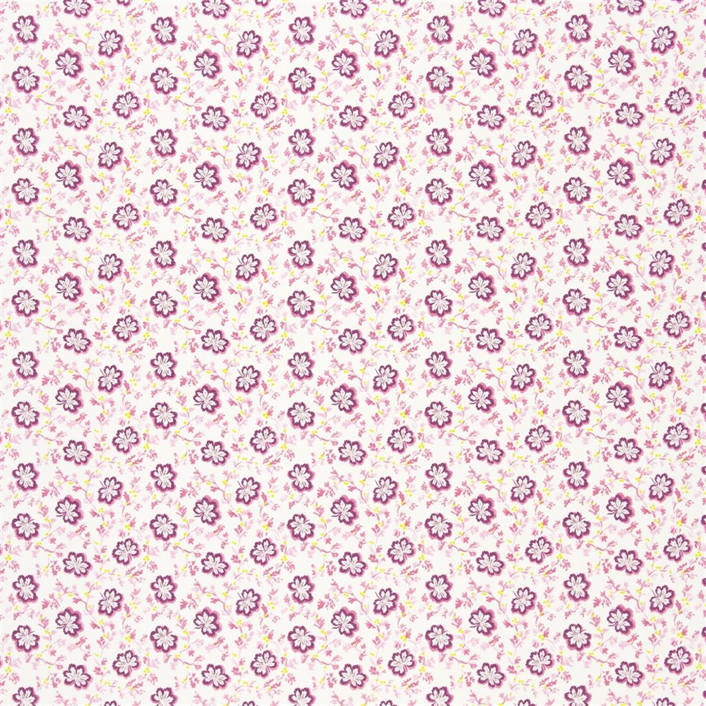 Camomile - Fuchsia Cutting