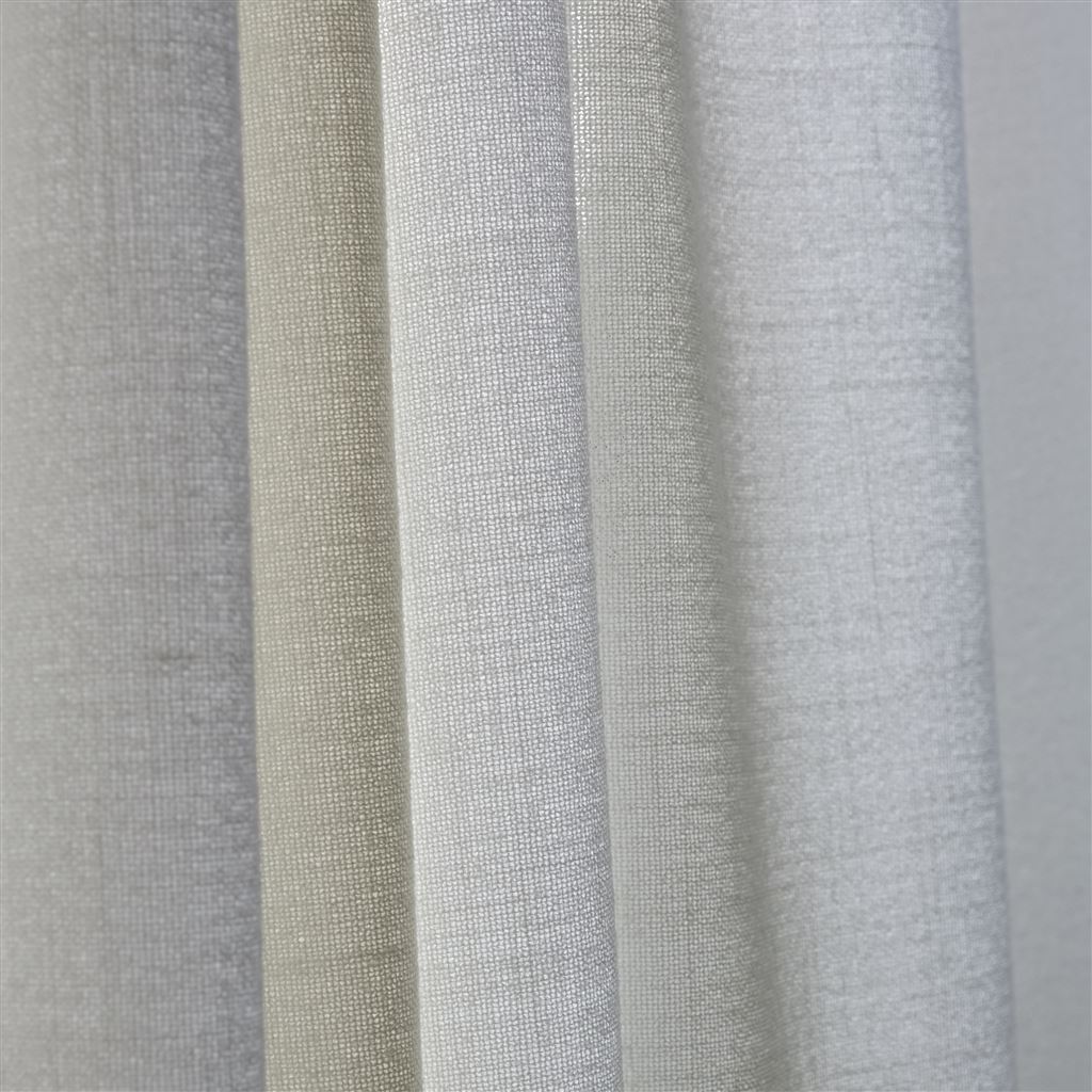 Charollais Birch