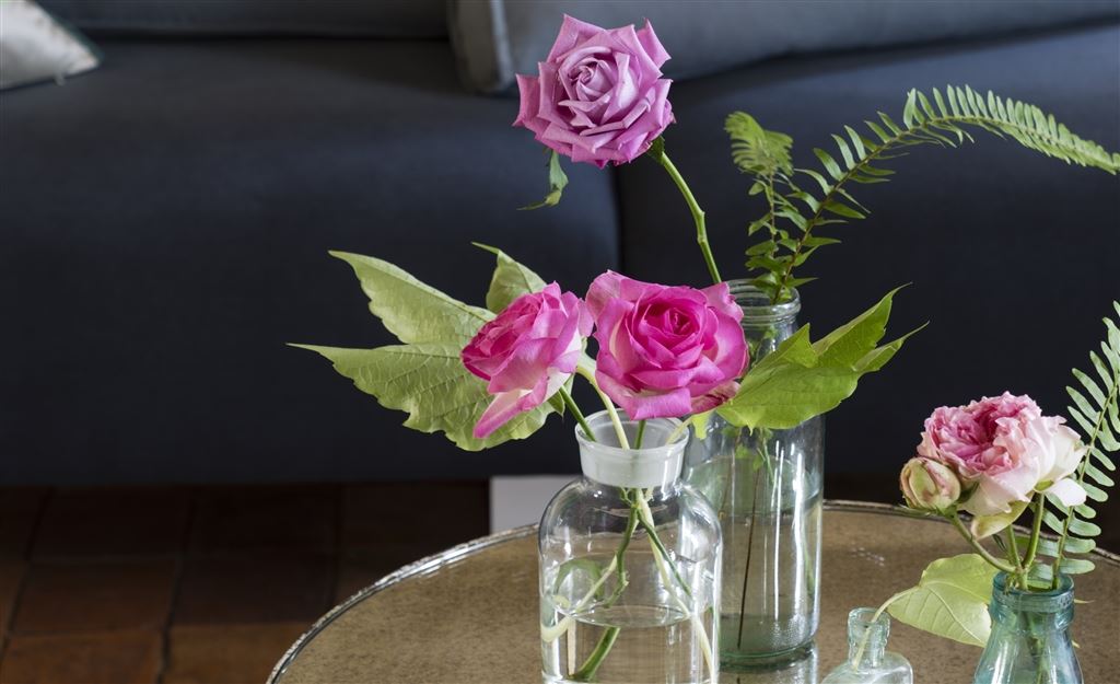 DG AT HOME | Treasured moments                                        