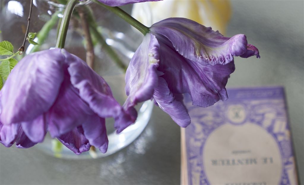 DG AT HOME | Treasured moments                                        