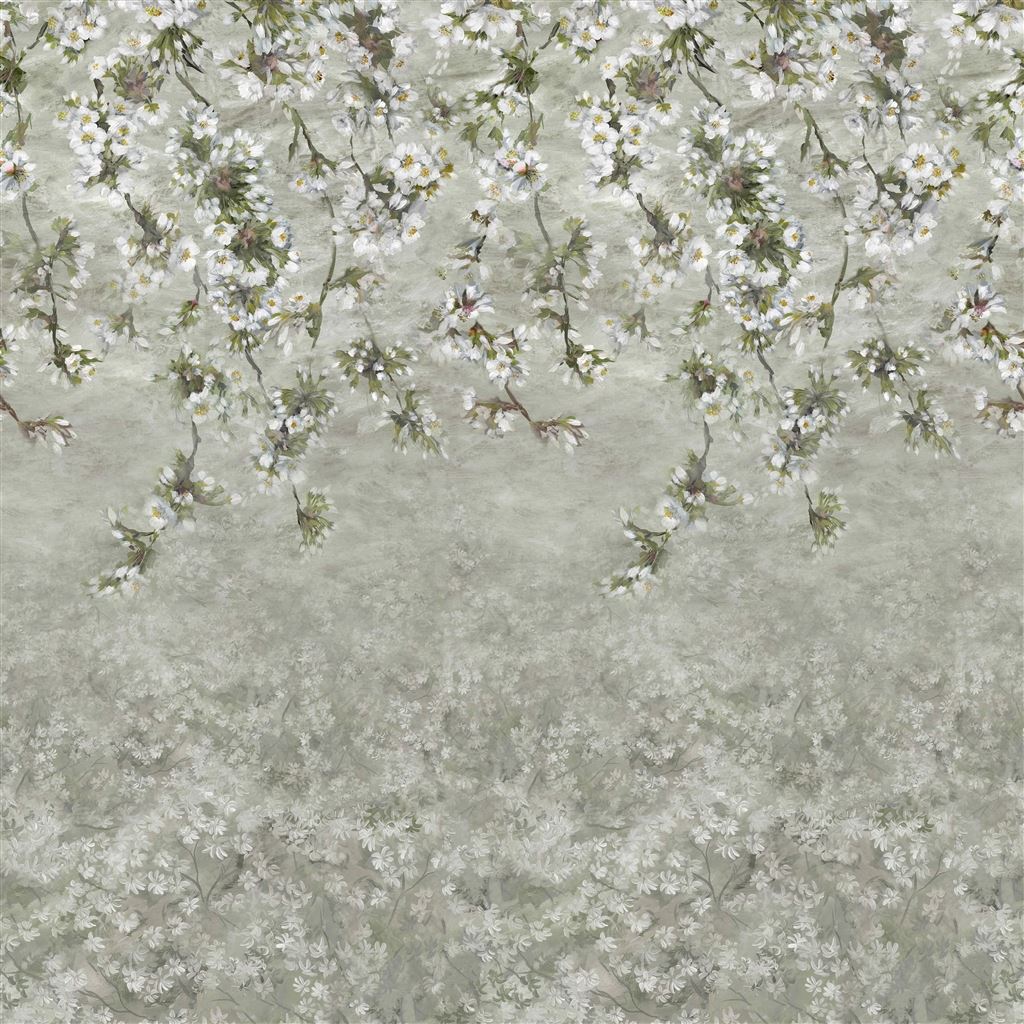 Assam Blossom Platinum Cutting