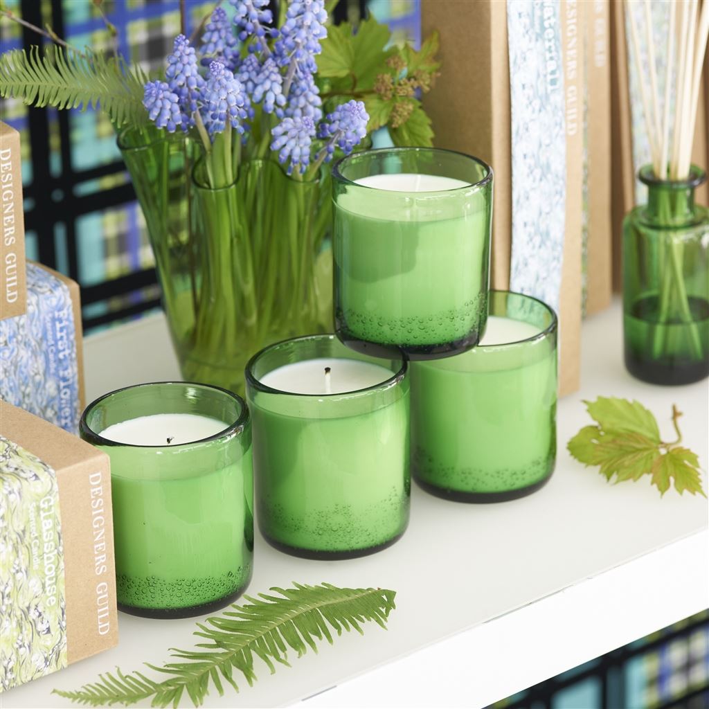 Green Fig 220g Candle