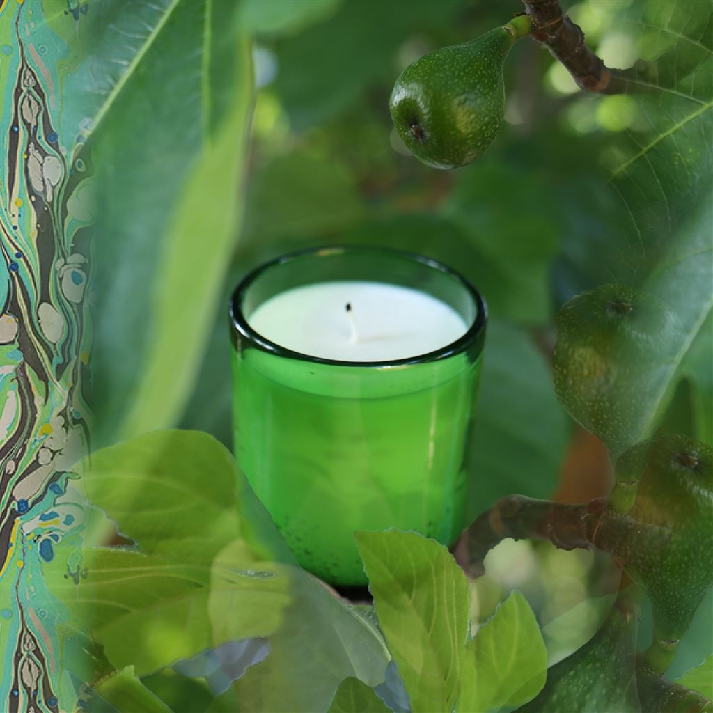 Green Fig 220g Candle