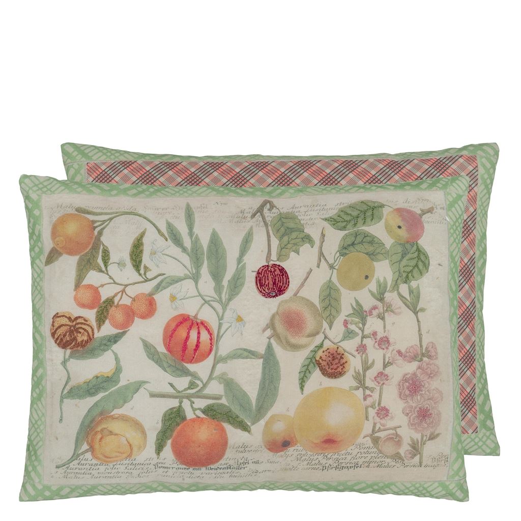 Oranges Canvas Cushion 