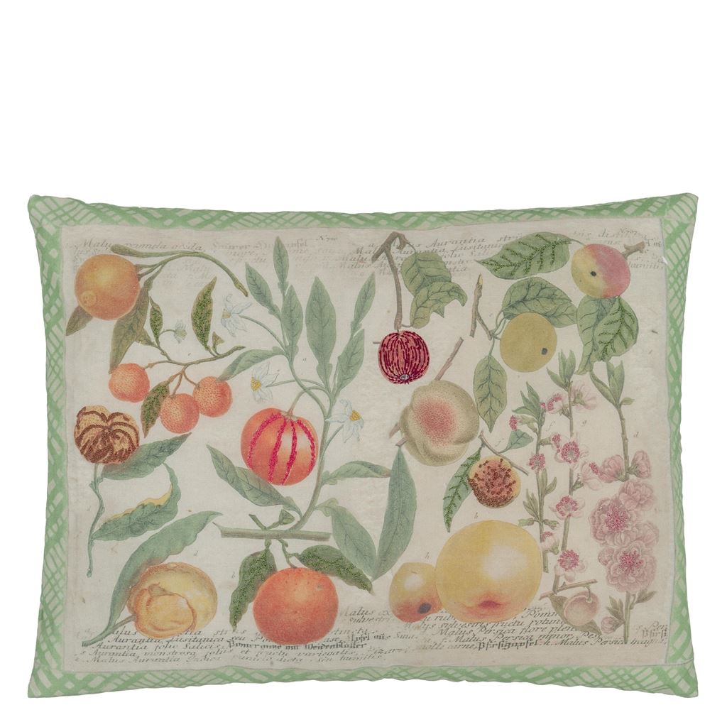 Oranges Canvas Cushion 