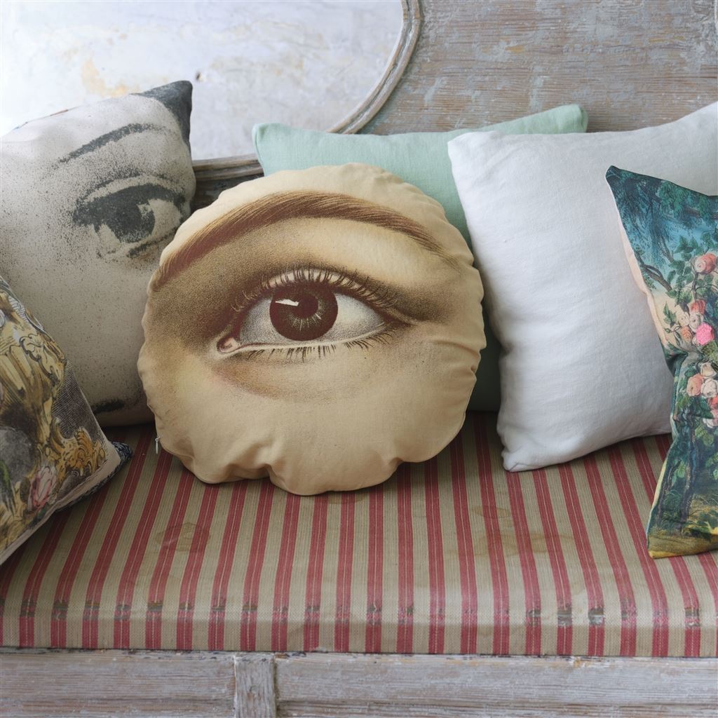 Eye Sepia Decorative Pillow 