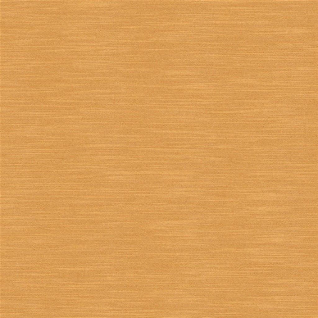 Pampas - Apricot Cutting