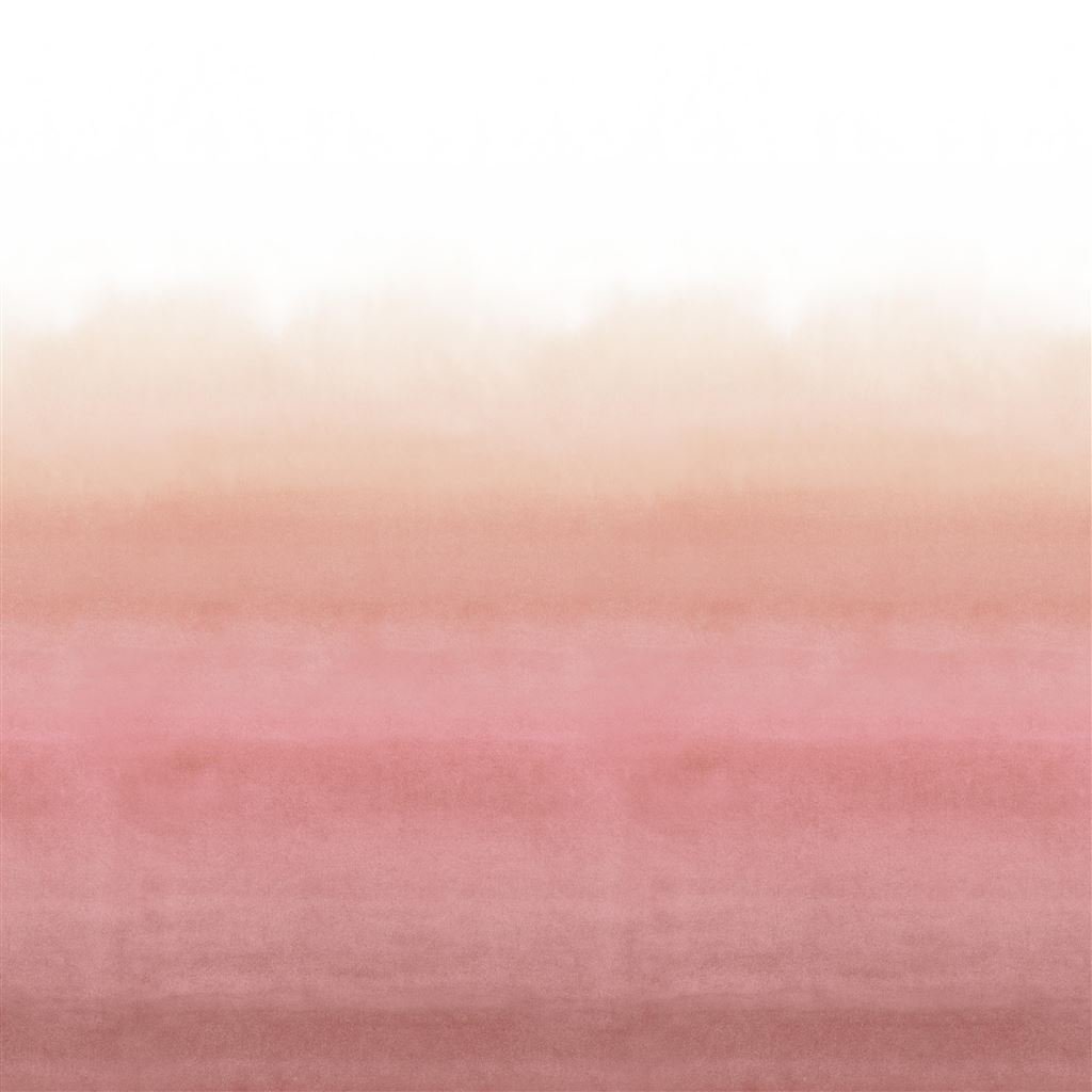 shoshi coral