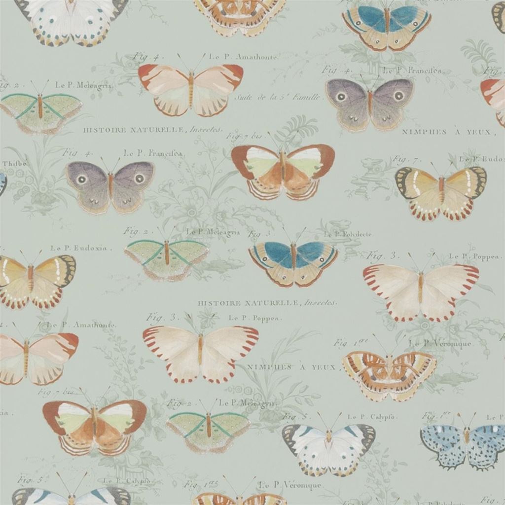 Butterfly Studies - Eau De Nil Cutting