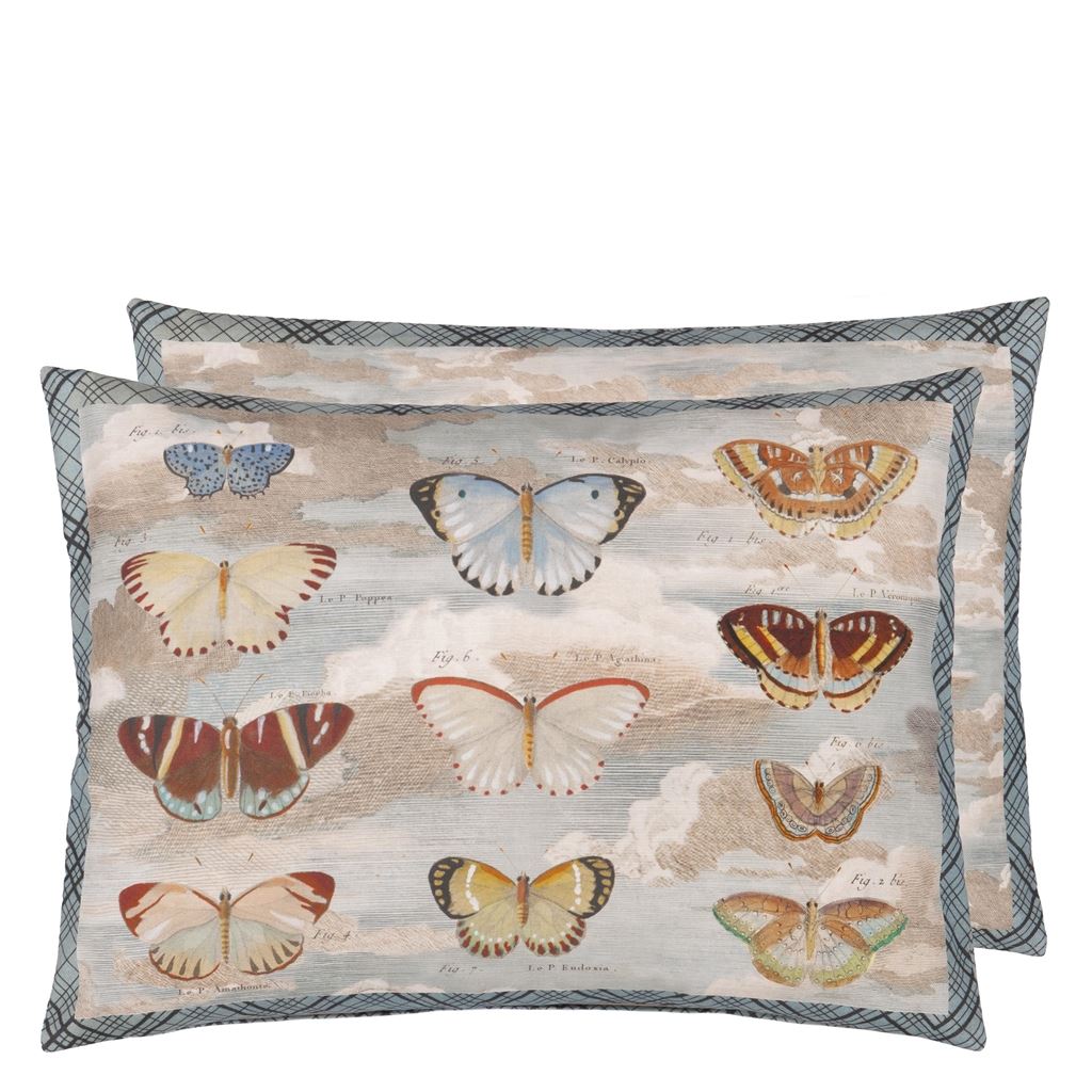 Butterfly Studies - Parchment - Cushion - 60x45cm - Without Pad