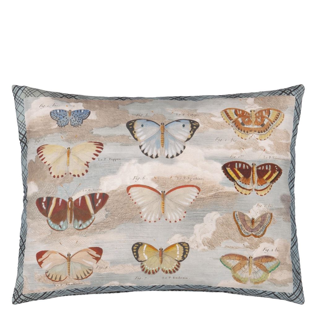 Butterfly Studies Parchment Cushion