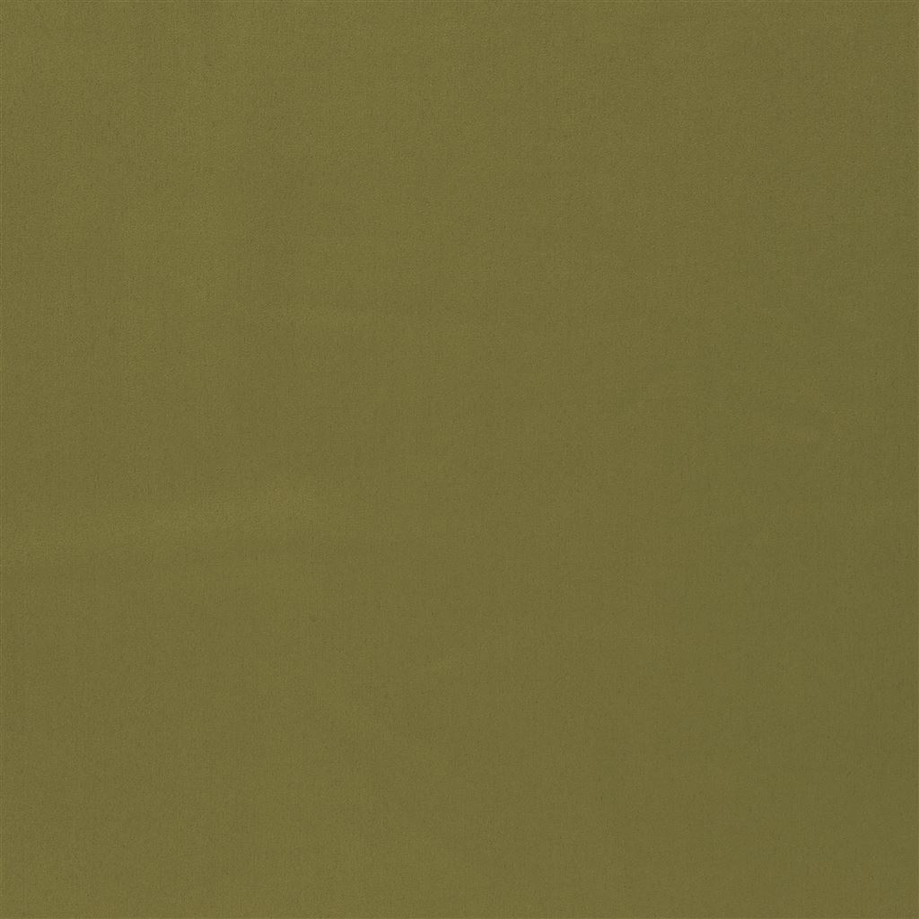 Mezzola Moda - Mustard Cutting