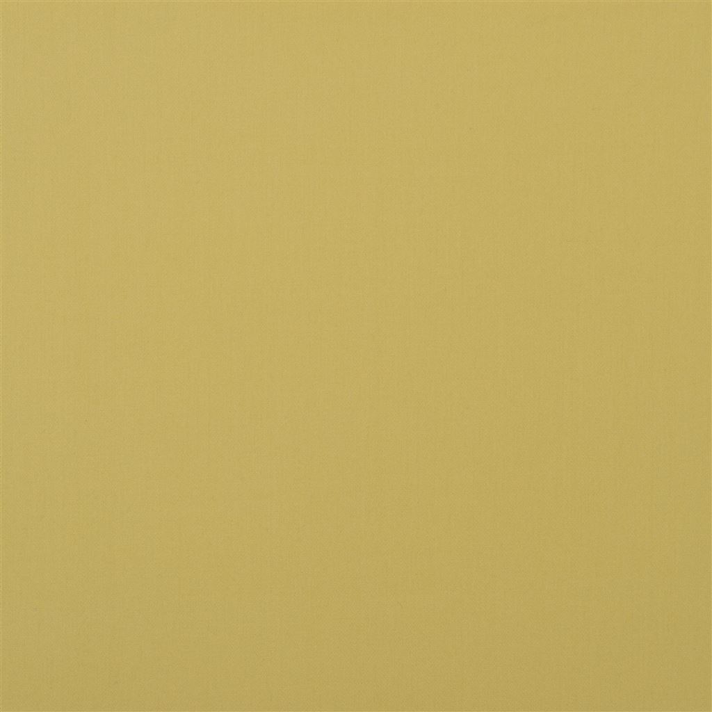Perledo - Acacia Cutting