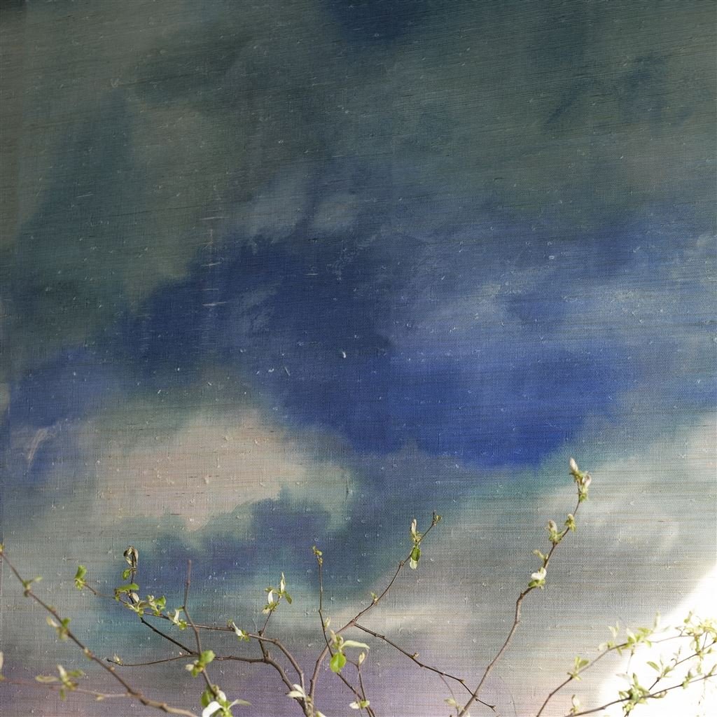 Paysage Marin Grasscloth Sky