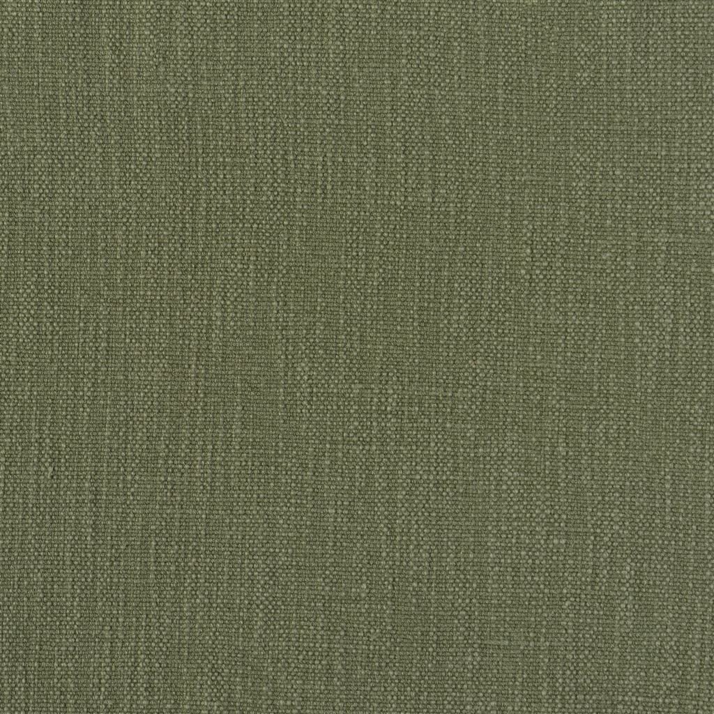 tortona - cedar