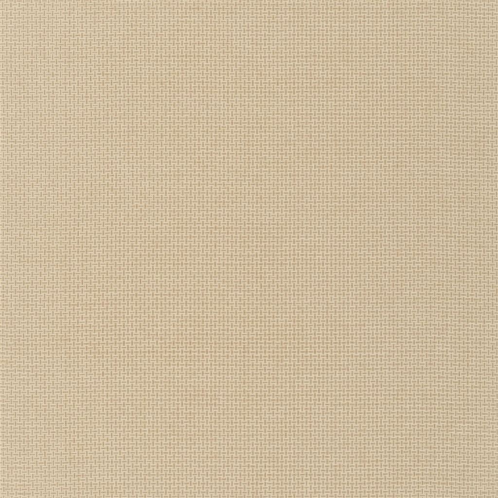 Baileyana - Straw Large Sample