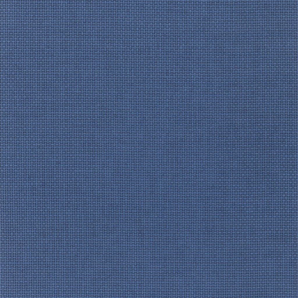 Baileyana - Indigo Large Sample