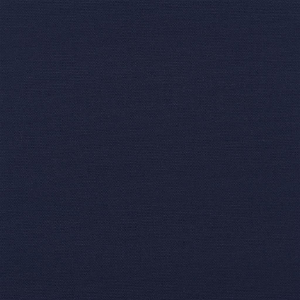 coastal plain - dark blue