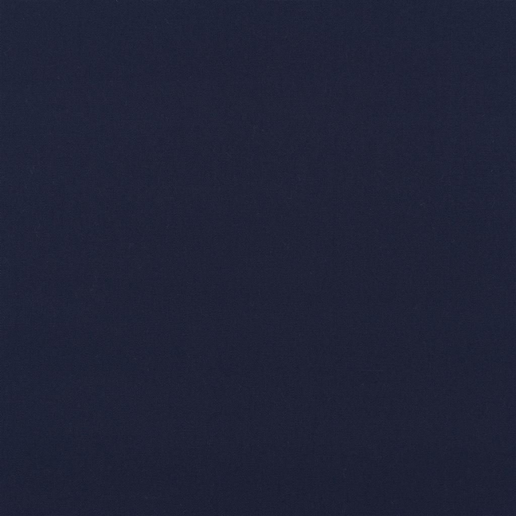 coastal plain - dark blue