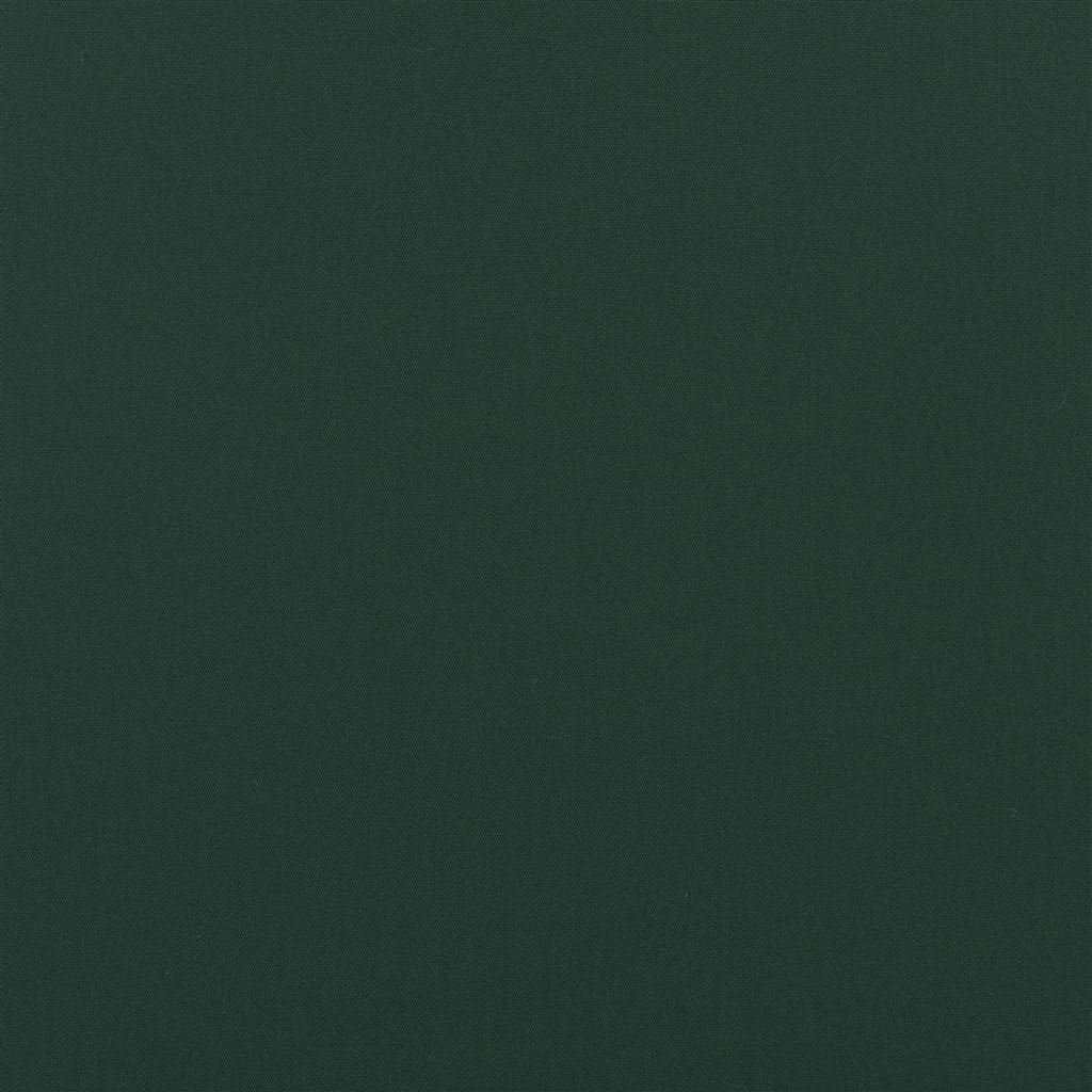 coastal plain - green