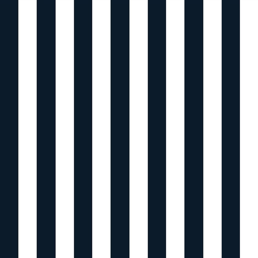 captains cove stripe - blue