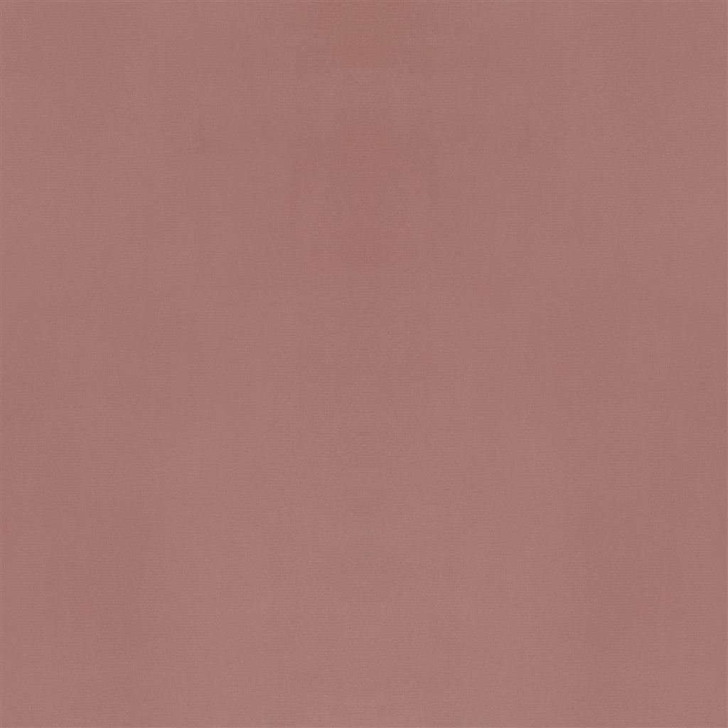 velluto stretto - tea rose