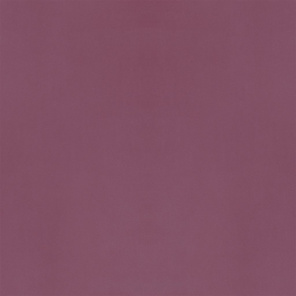 velluto - crocus