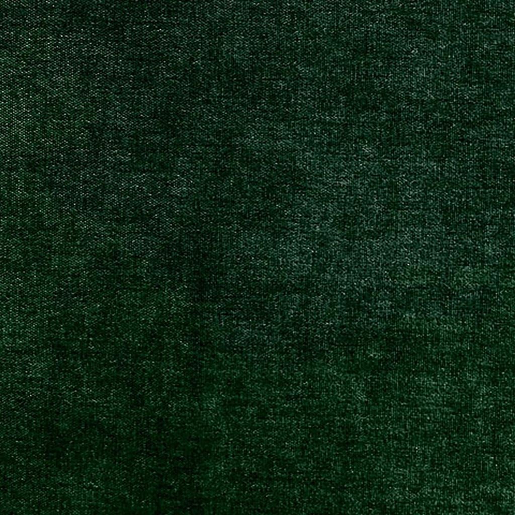Arolla - Fern