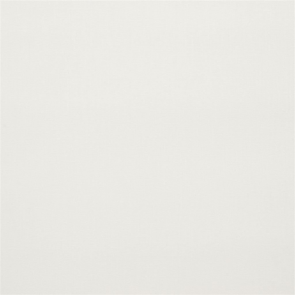 Lorenzo - Chalk Cutting