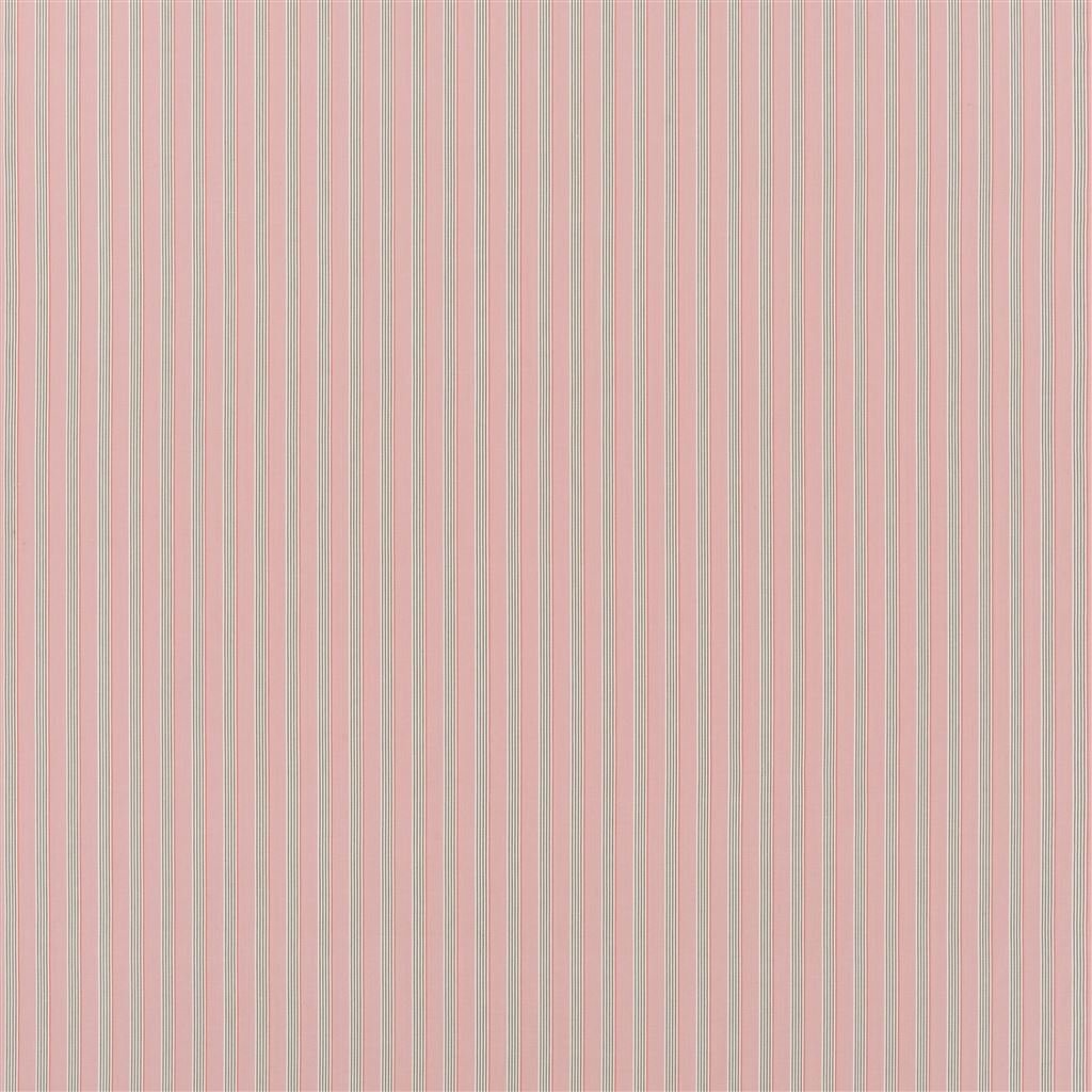 albemarle stripe - hibiscus
