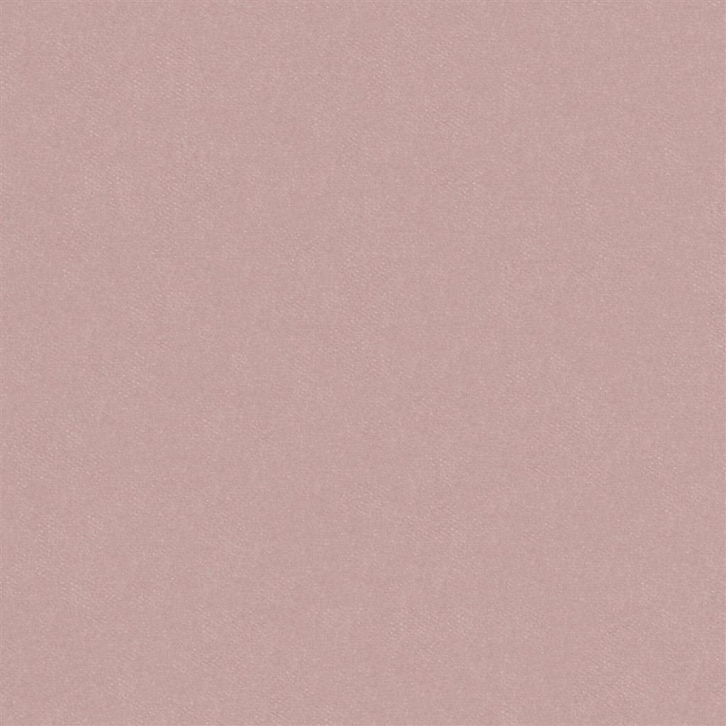 Brinzio - Blossom