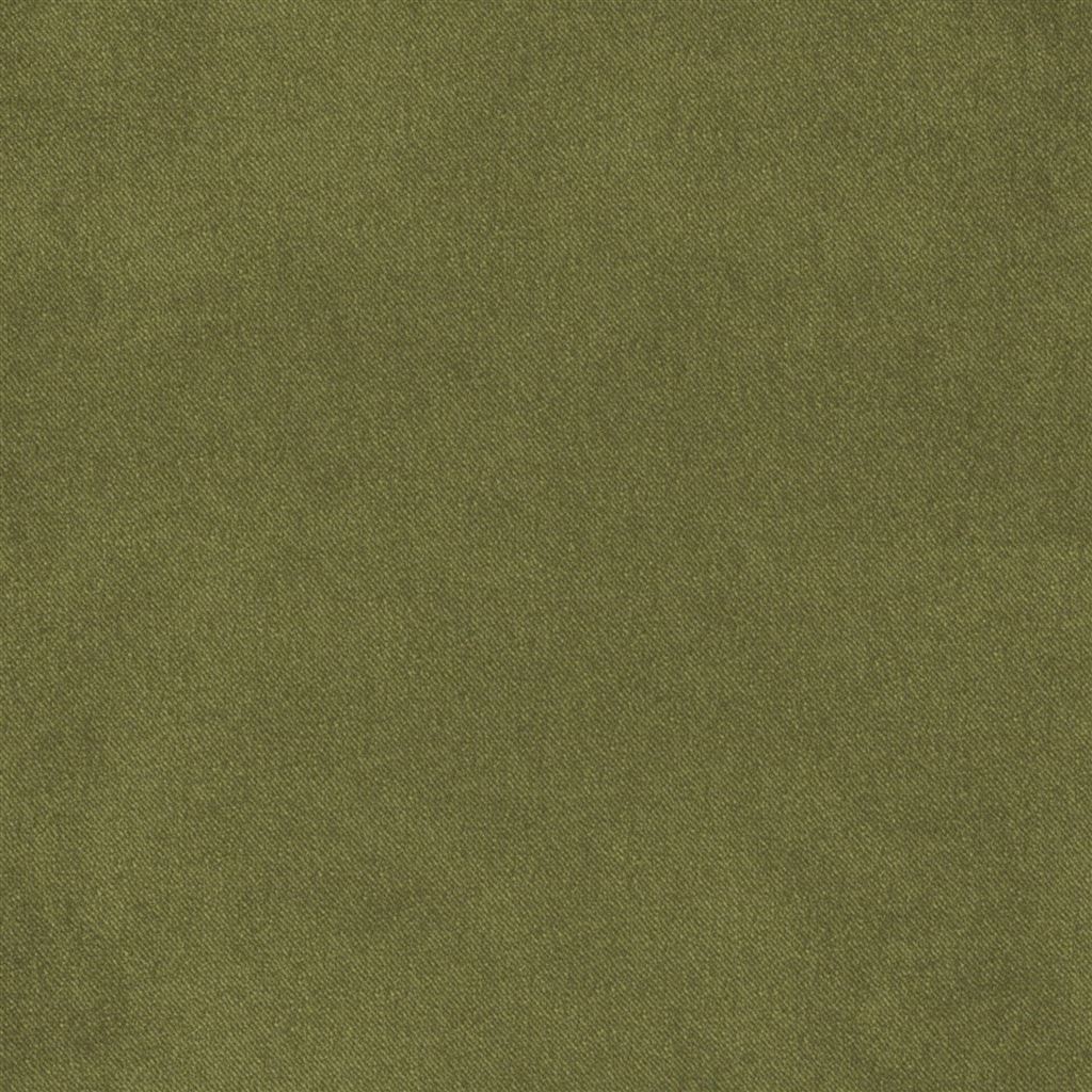 Brinzio - Moss