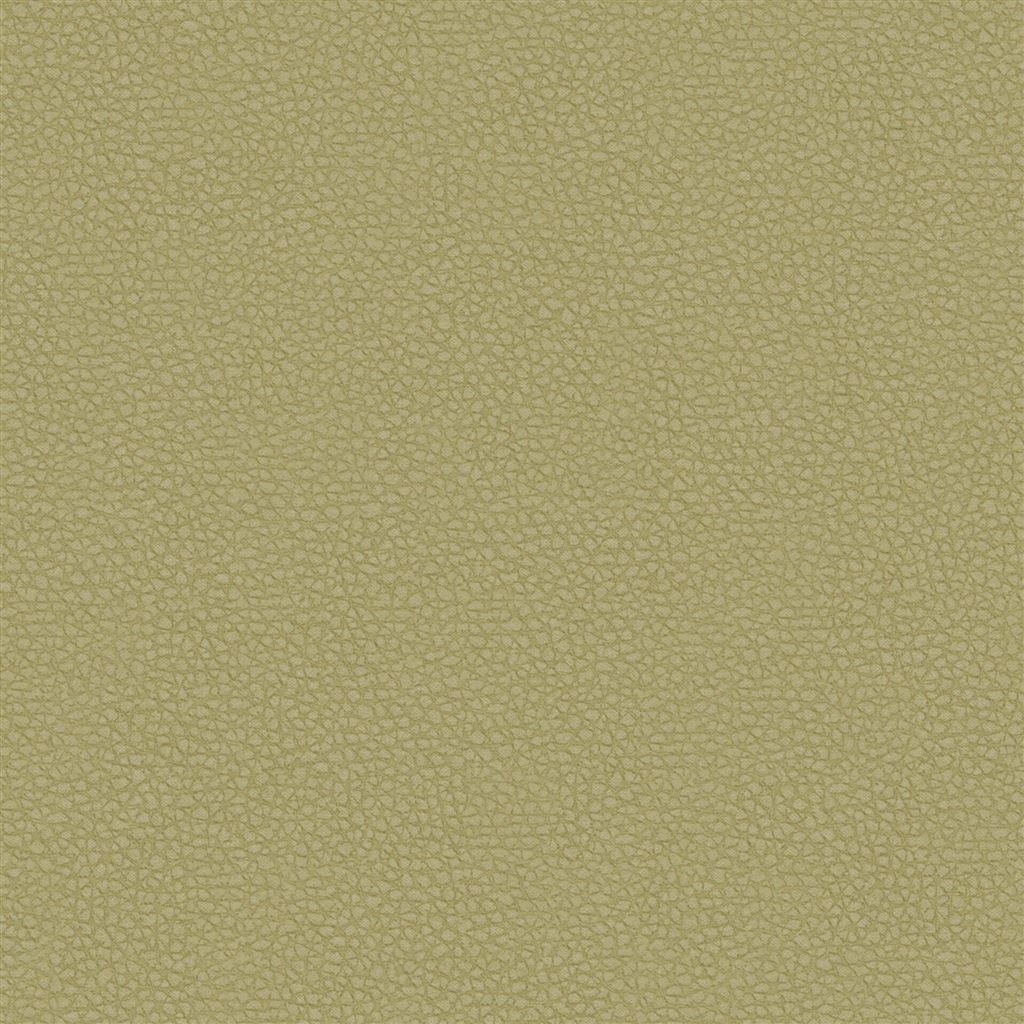 matara eco - olive