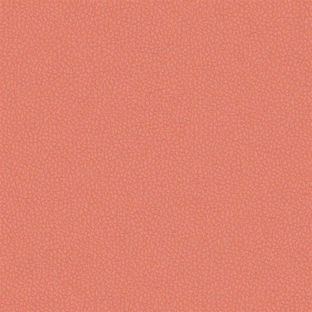 matara eco - coral